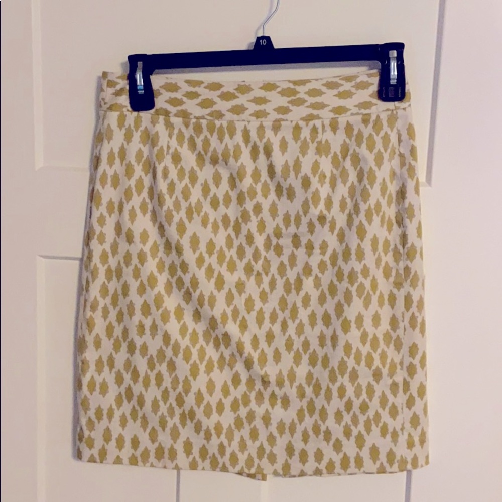 J Crew Skirt